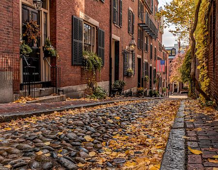 A cobblestone street lined with brick buildings, autumn leaves, and decorated doorways in a quaint neighborhood setting.