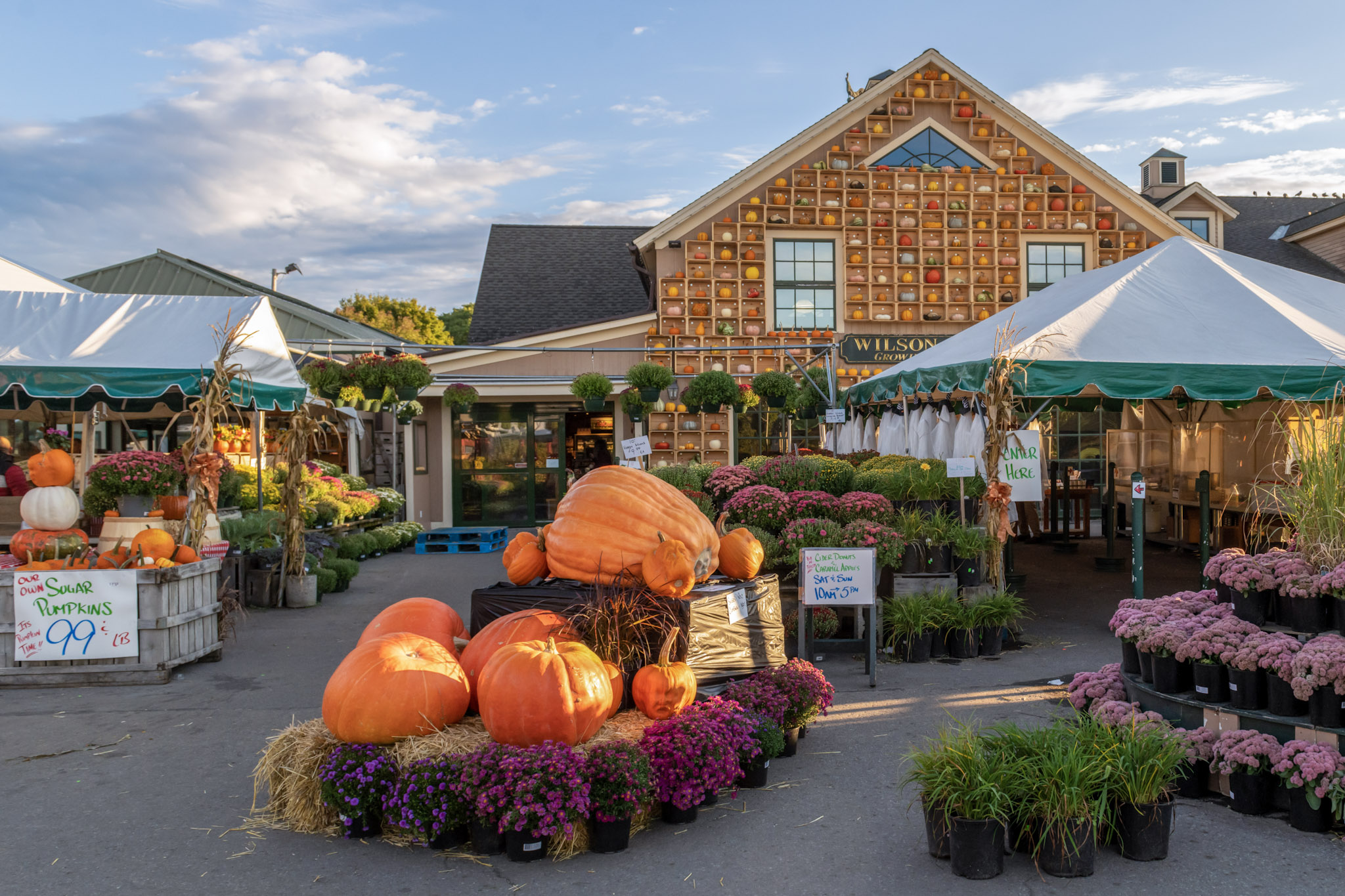 A farmers market with large pumpkins and flowers is displayed outside a rustic building under tents.