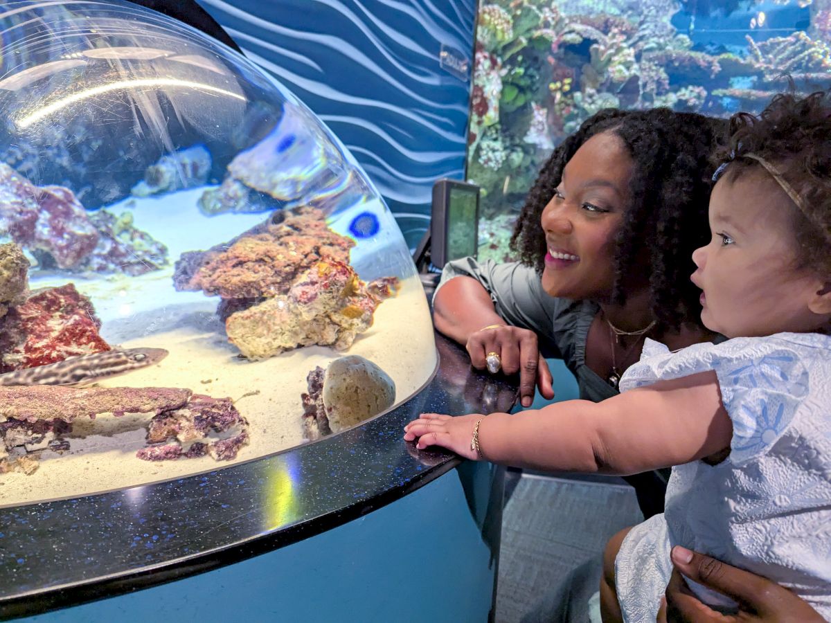 A mother and toddler gaze excitedly at a glass aquarium with colorful fish and rocks, as they lean close to inspect the tank.