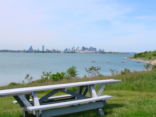 A picnic table sits on a grassy area near a body of water, with city buildings visible in the distance under a clear blue sky.