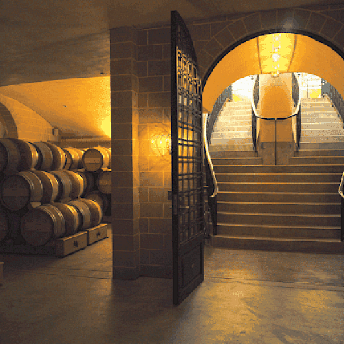 A dimly lit wine cellar with wooden barrels on the left and a set of stairs with handrails leading up to an arched entrance on the right.