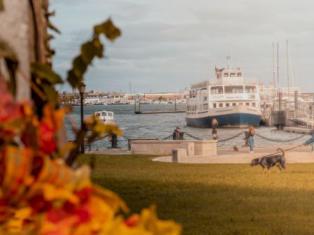 A harbor waterfront with the &ldquo;Fort Independence&rdquo; boat docked, sails and people nearby, with dogs on the walkway.