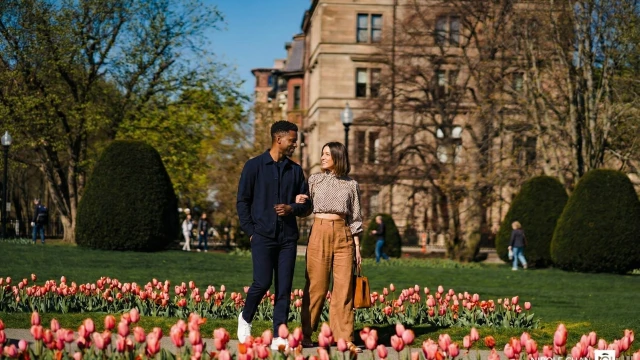A couple walks hand-in-hand through a tulip garden in front of a brick-building, spring sun, green trees, and neatly trimmed bushes in bloom.