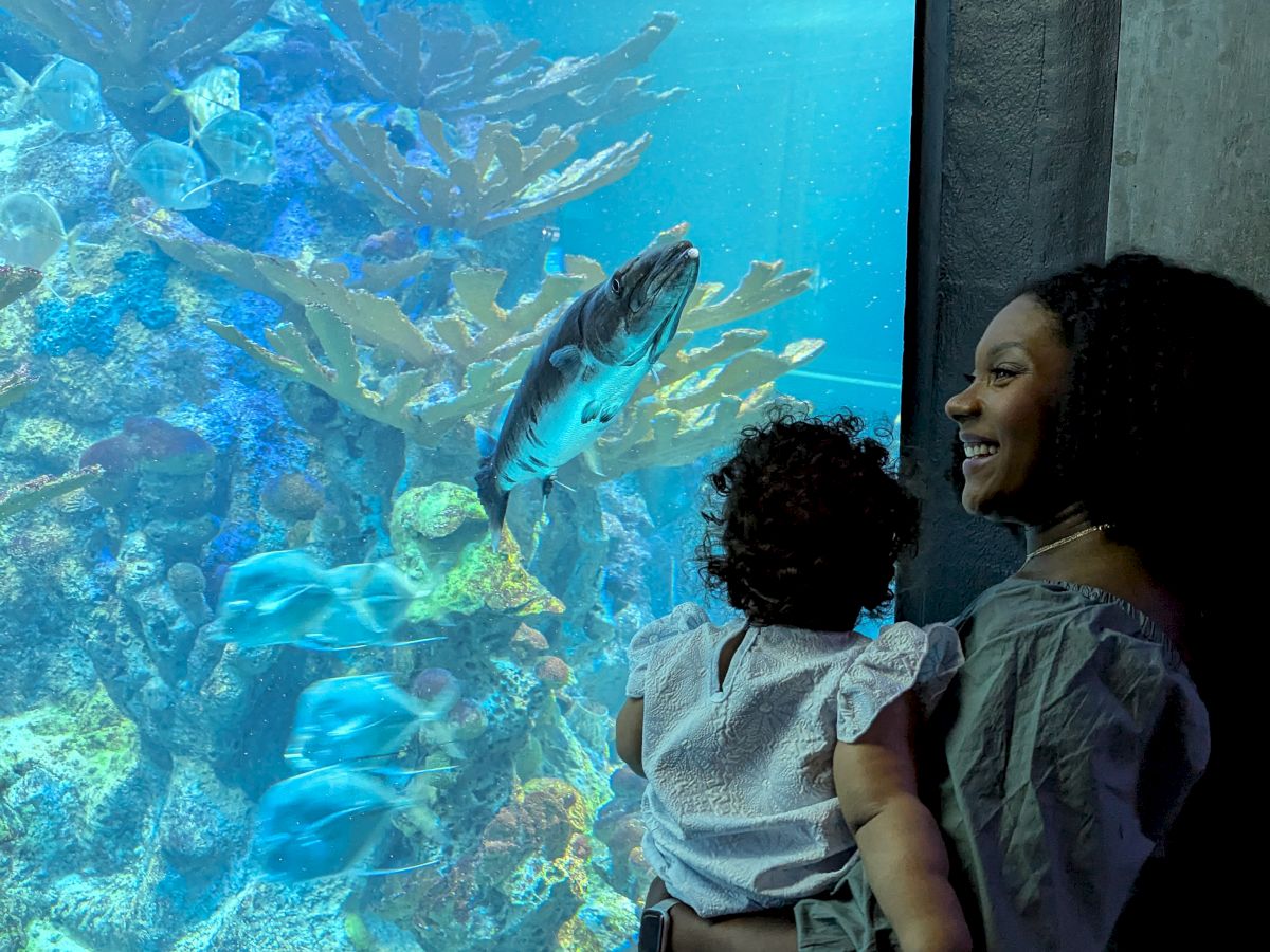 A mother holds her baby, smiling, as they watch a large aquarium tank with colorful coral and a fish swimming near them.