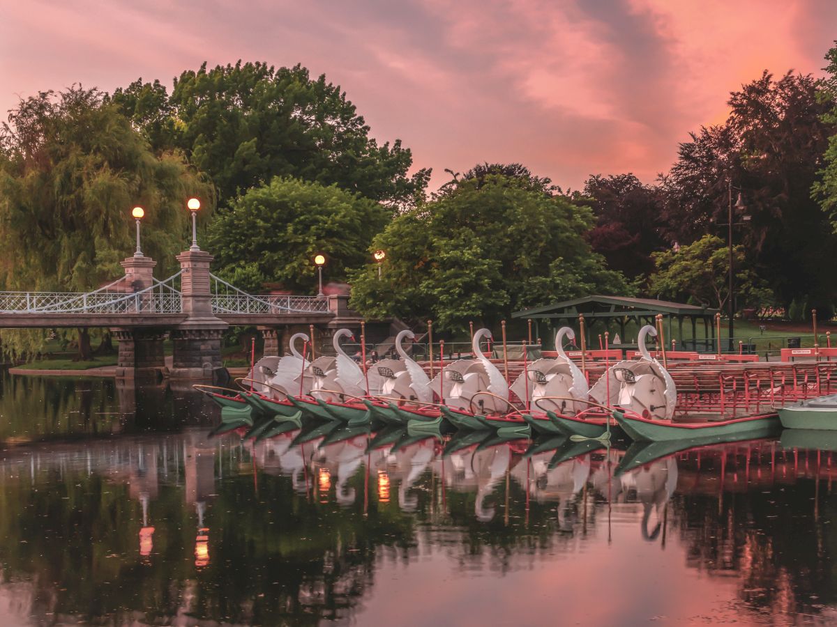 A row of swan boats docked by a serene lake with a decorative bridge and pink sunset sky reflecting on the water.