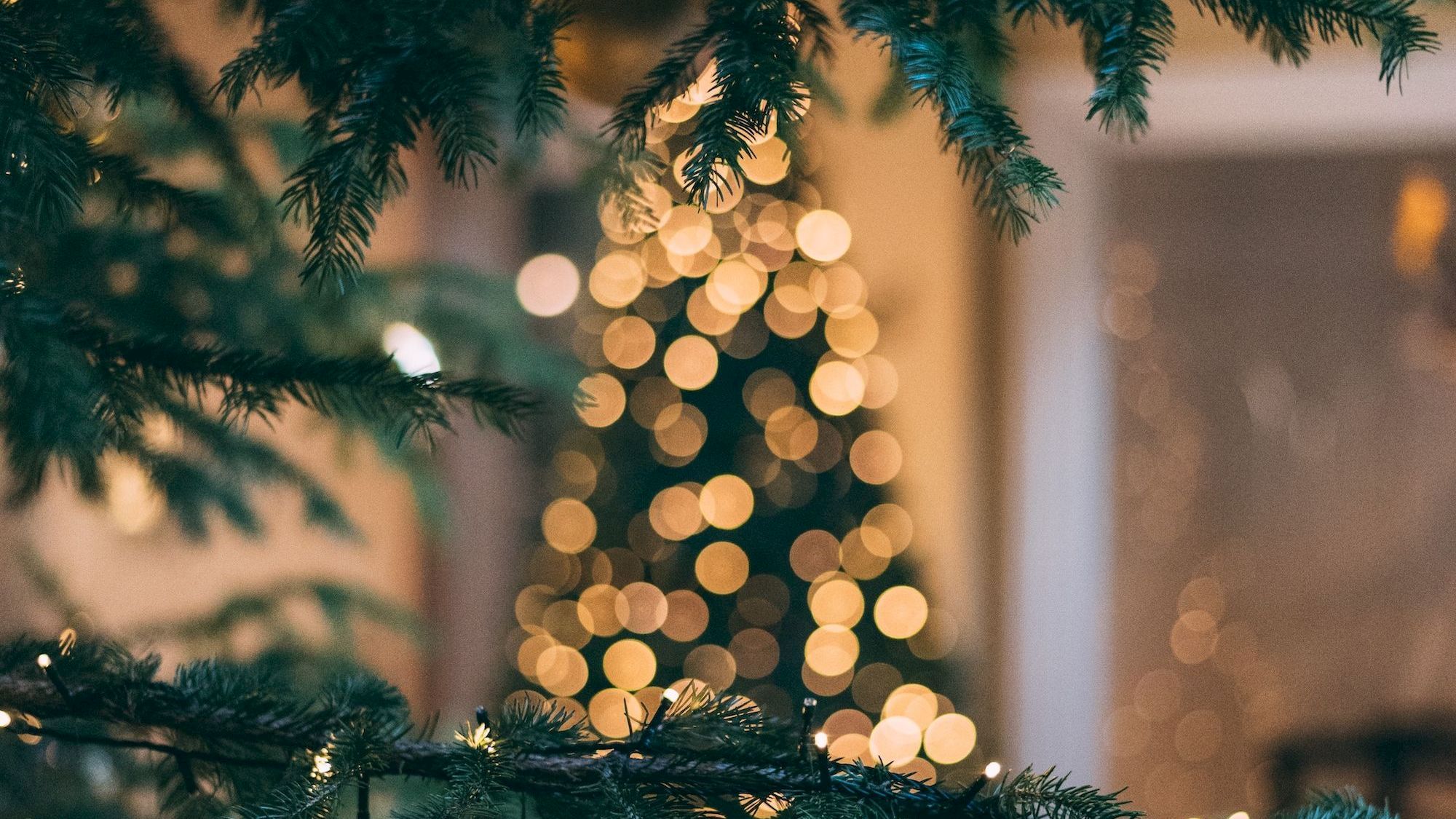 A lit Christmas tree with glowing bokeh lights, framed by evergreen branches in a warm, festive blur.
