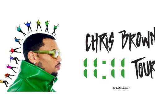 Chris Brown Tour Art