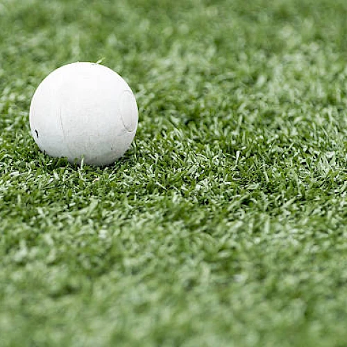 Lacrosse Ball sitting in Grass