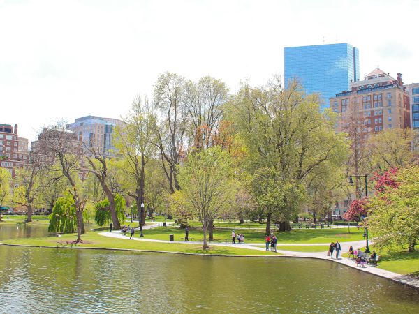 Boston Public Gardens