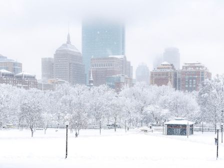 Boston Harbor Hotel