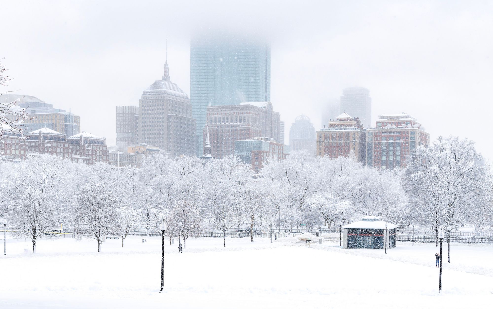A snowy city park scene with bare trees and a distant skyline beneath a pale, wintry sky, all covered in fresh snow.